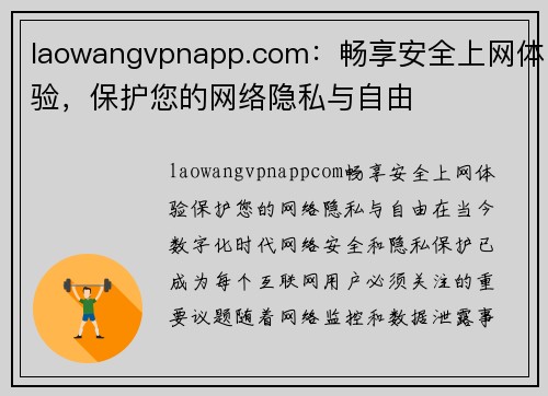 laowangvpnapp.com：畅享安全上网体验，保护您的网络隐私与自由